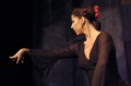 Flamenco.1081.jpg